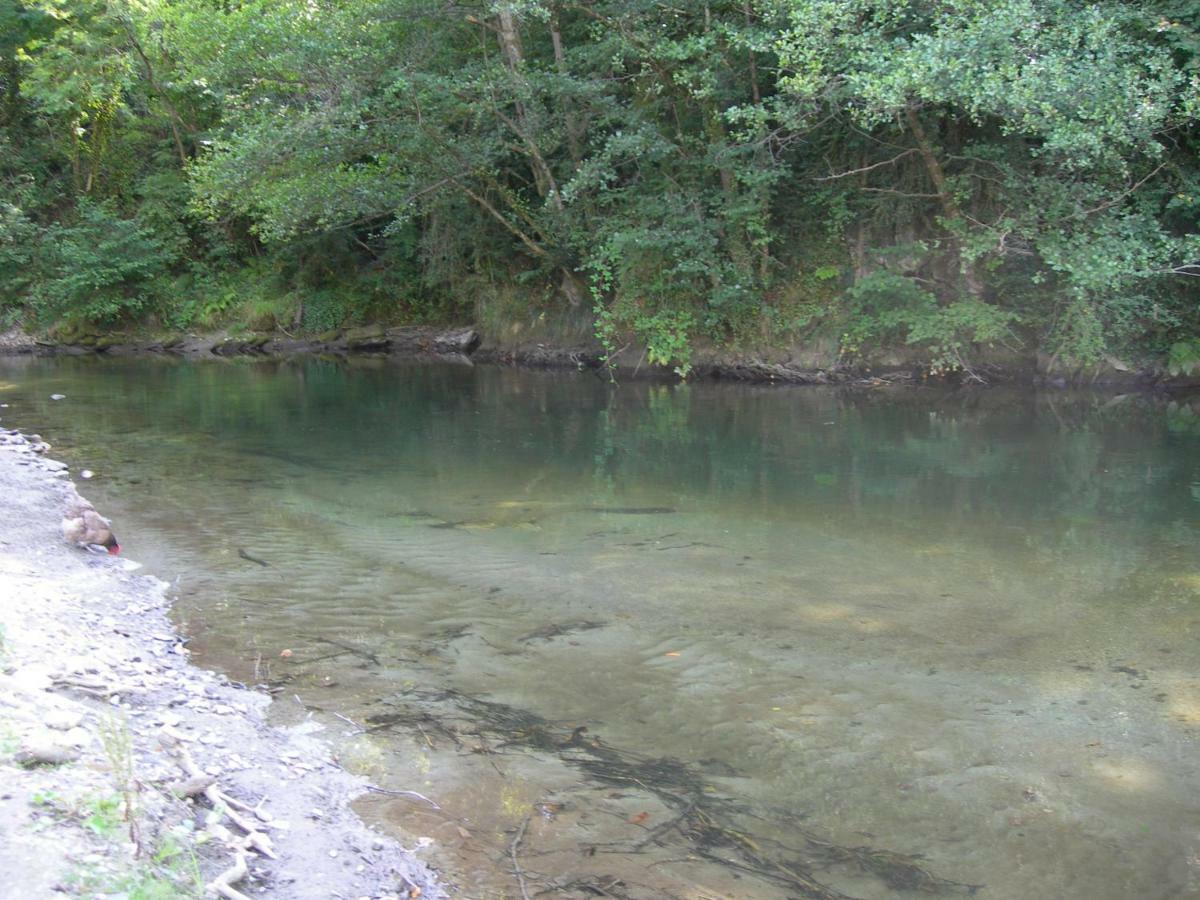 Appartement les rives de l’Ariège Luzenac Esterno foto