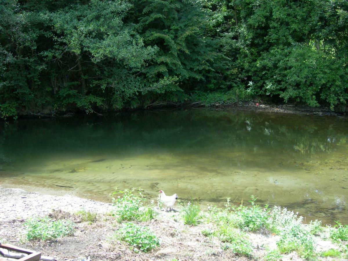 Appartement les rives de l’Ariège Luzenac Esterno foto